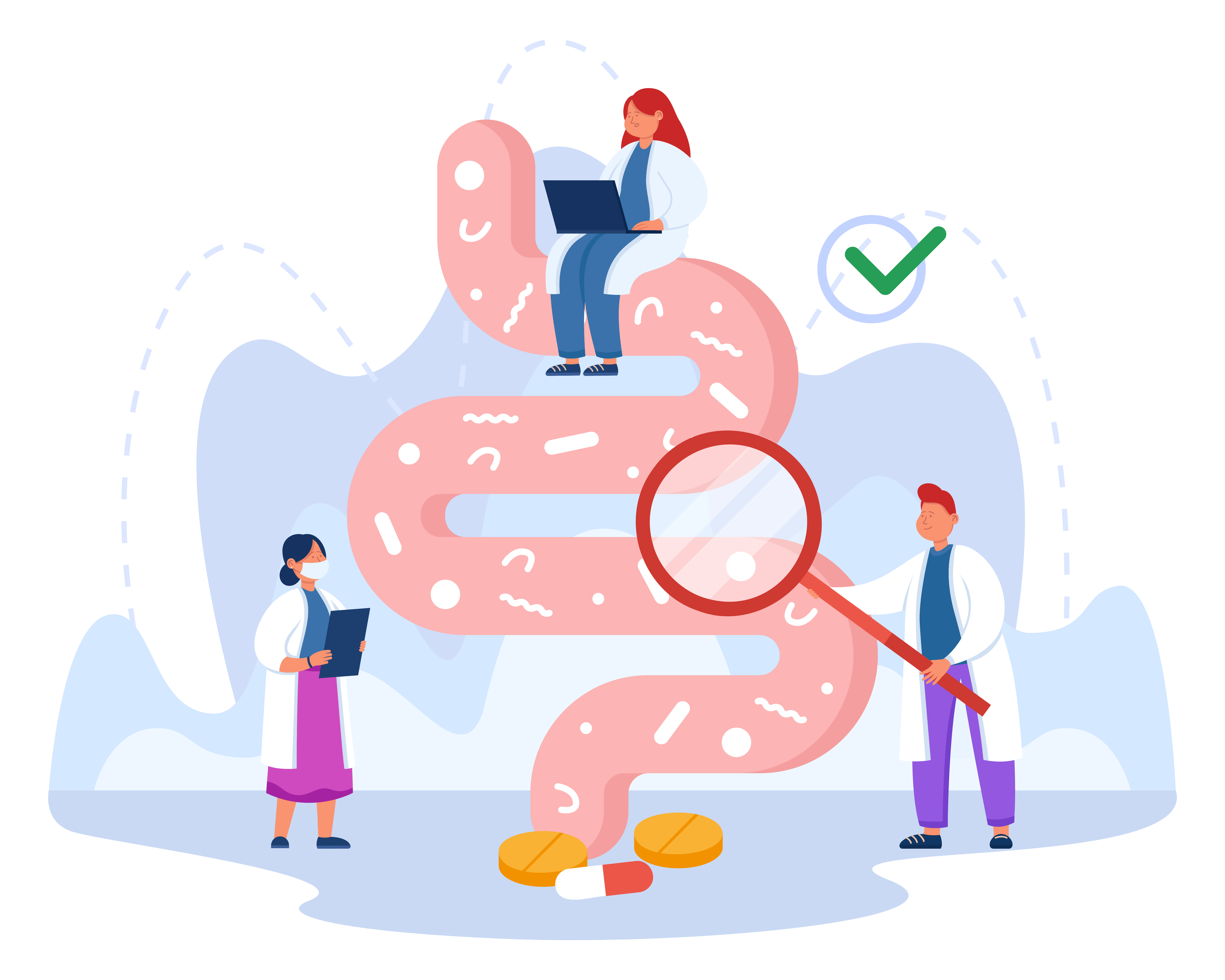 Ce este cancerul rectal - ilustratie anatomica